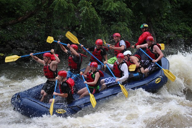 White Water Rafting Experience on the Upper Pigeon River - Key points to know before you go