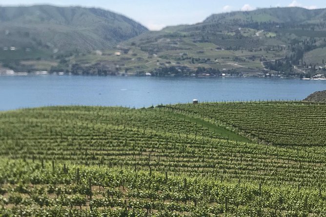 Whitewater and Wine: Wenatchee River Whitewater Rafting and Winery Tour - Why this rafting and wine pairing works