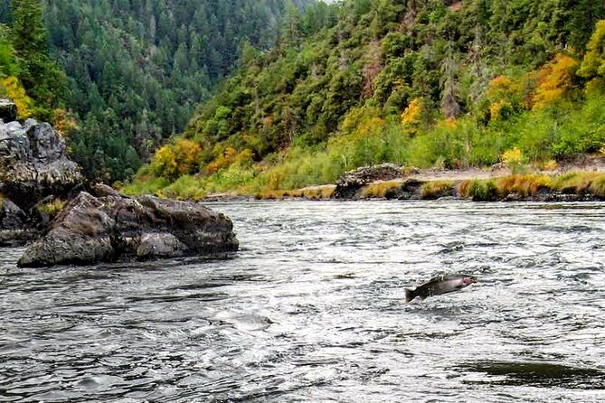 Whitewater Fishing and Rafting Experience in Rogue River - Four days on the Rogue River