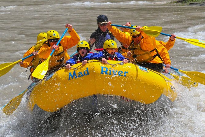 Whitewater Rafting Adventure in Jackson Hole - Classic Boats - Eight miles through Snake River Canyon