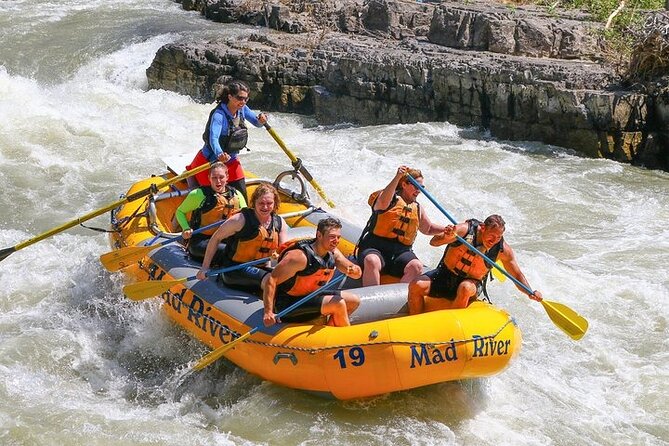 Whitewater Rafting Adventure in Jackson Hole - Small Boats - Wildlife gives the ride a quieter side