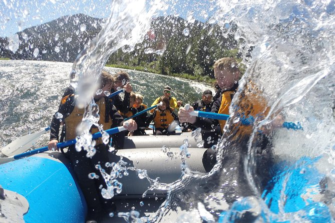Whitewater Rafting in Jackson Hole : Family Standard Raft - Eight miles of rapids, cliffs, and pine-covered hills