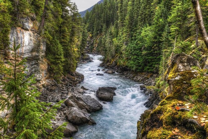 Whitewater Rafting on Jasper's Fraser River - Key points to know before booking