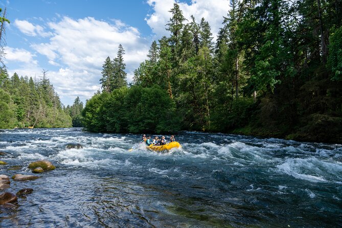 Whitewater Rafting on The McKenzie River - Why the Small Group Matters