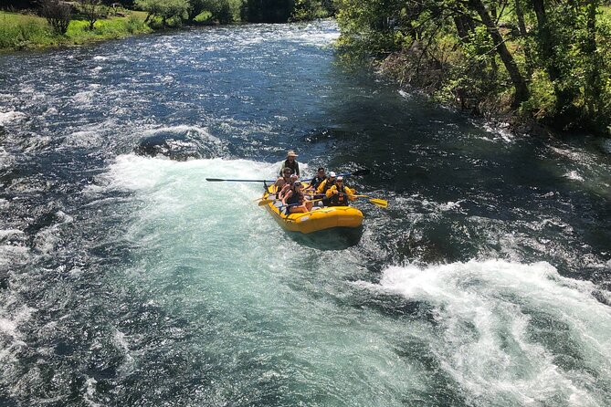 Whitewater Rafting on The McKenzie River - Is the $95 Price Good Value?