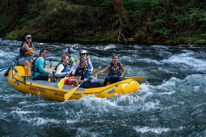 Whitewater Rafting on The McKenzie River - Who Will Enjoy This Trip Most?