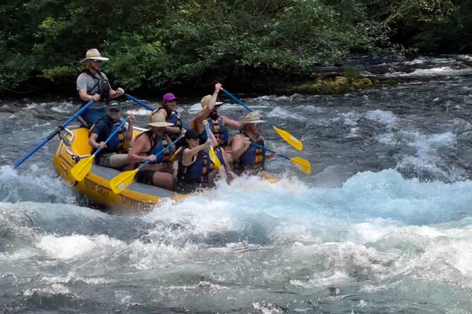 Whitewater Rafting on The McKenzie River - Three Hours of Whitewater Through Forest