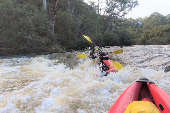 Whitewater Sports rafting on the Yarra river - Native bush, gorges, and a quieter Yarra