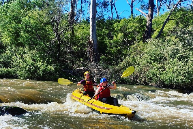 Yarra River Half-Day Rafting Experience - Paddling through gorges and native bush