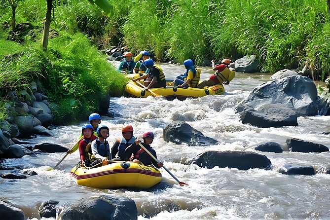 Yogyakarta Rafting tour for Family II-III or Professional V+ - A private tour with a useful group limit